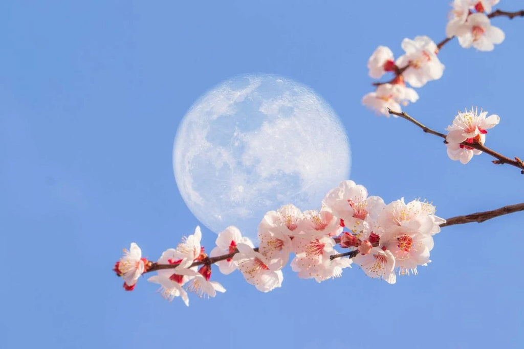 Embrace the Flower Full Moon of May 2021