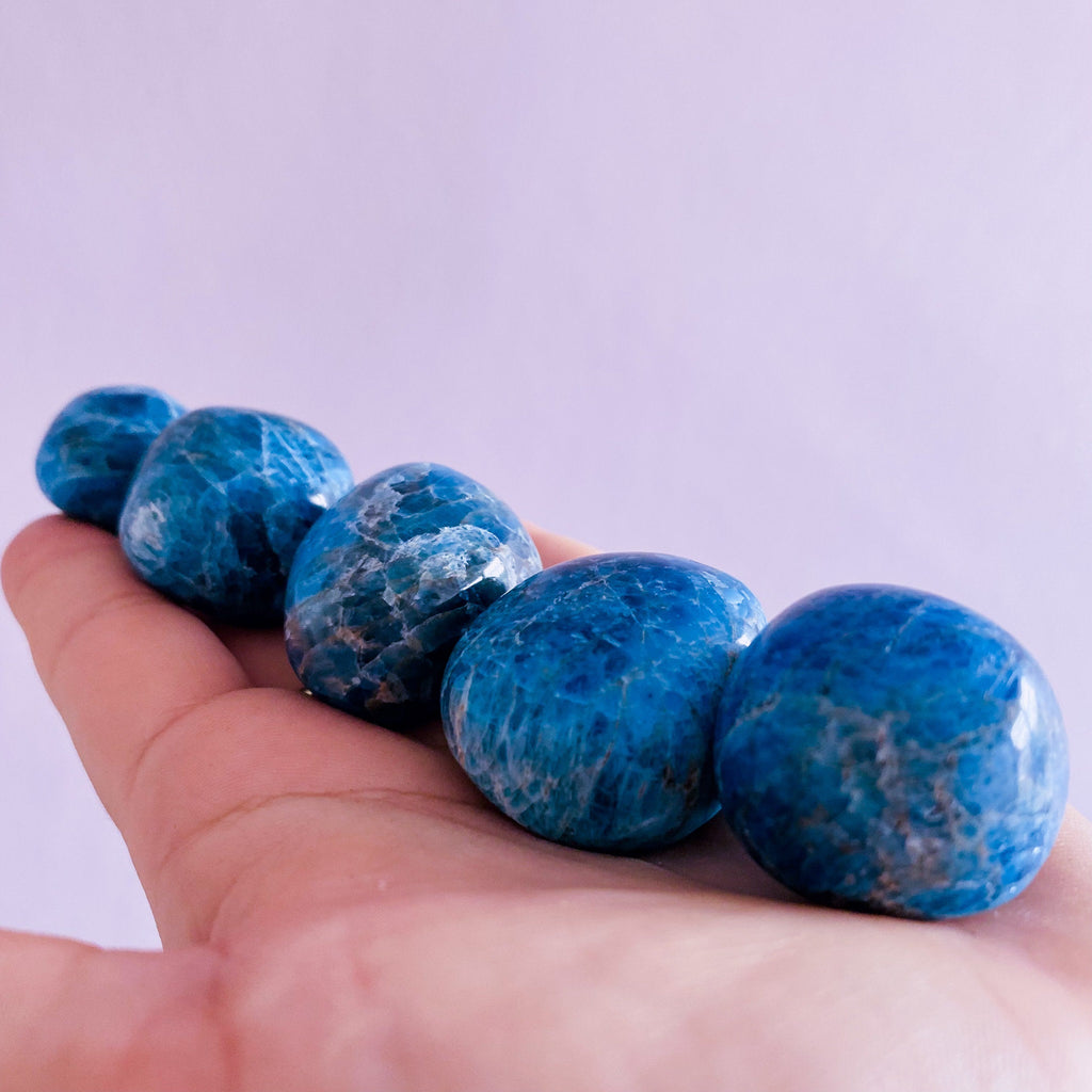 Large Juicy Blue Apatite Crystal Stress Balls / Block Negativity / Helps Children With Hyperactivity & Autism In Children / Balances Chakras - Premium  from My Store - Just £9.50! Shop now at Lumi Gemstones