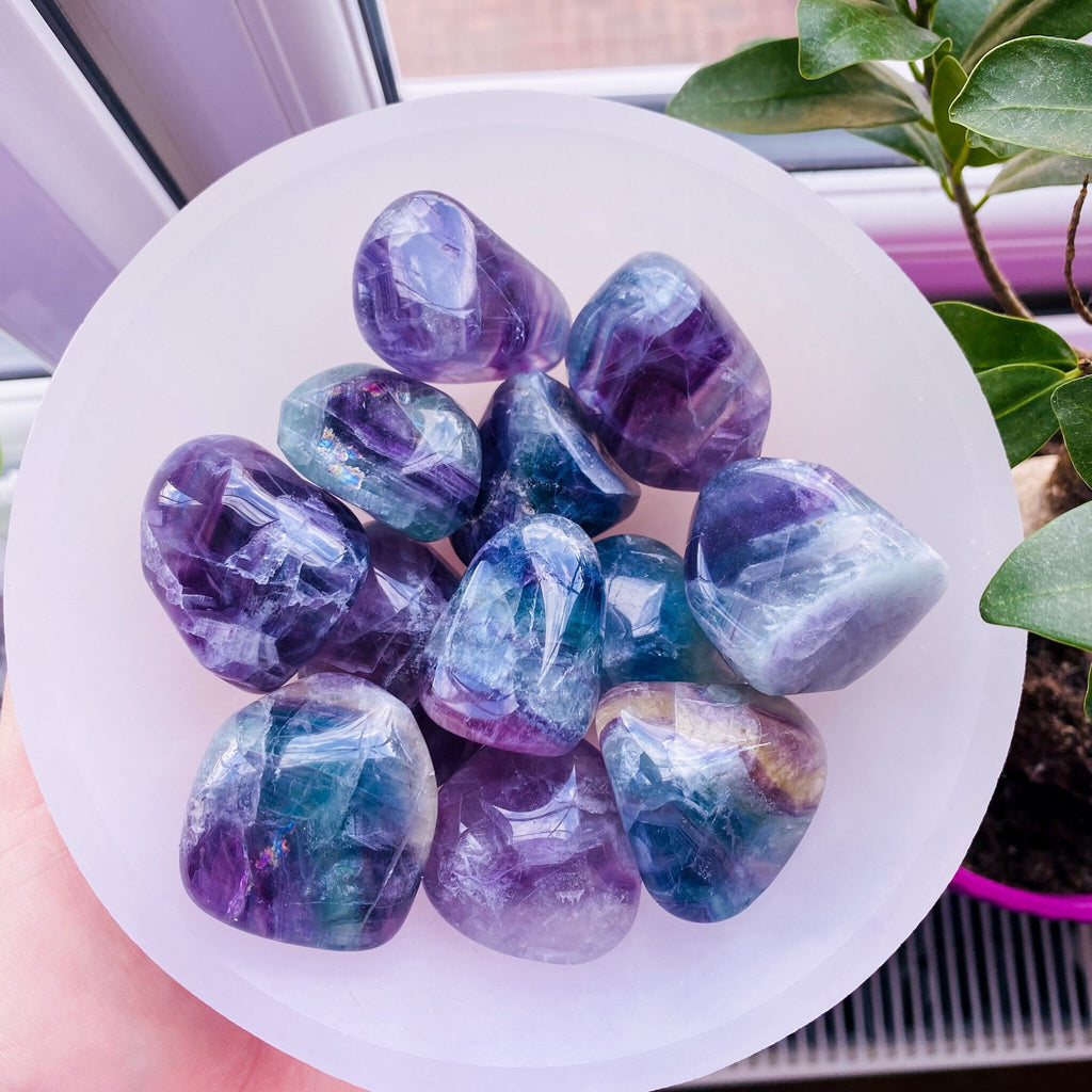 Rainbow Fluorite Large Crystal Tumblestones / Absorbs Anxiety, Stress, Tension / Concentration / Good For Exams, New Job, Course Work - Premium  from My Store - Just £9.95! Shop now at Lumi Gemstones