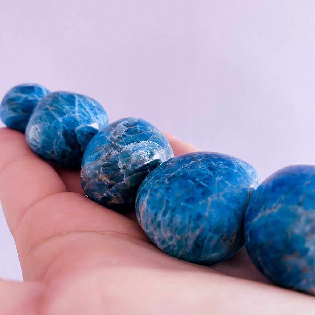 Large Juicy Blue Apatite Crystal Stress Balls / Block Negativity / Helps Children With Hyperactivity & Autism In Children / Balances Chakras - Premium  from My Store - Just £9.50! Shop now at Lumi Gemstones