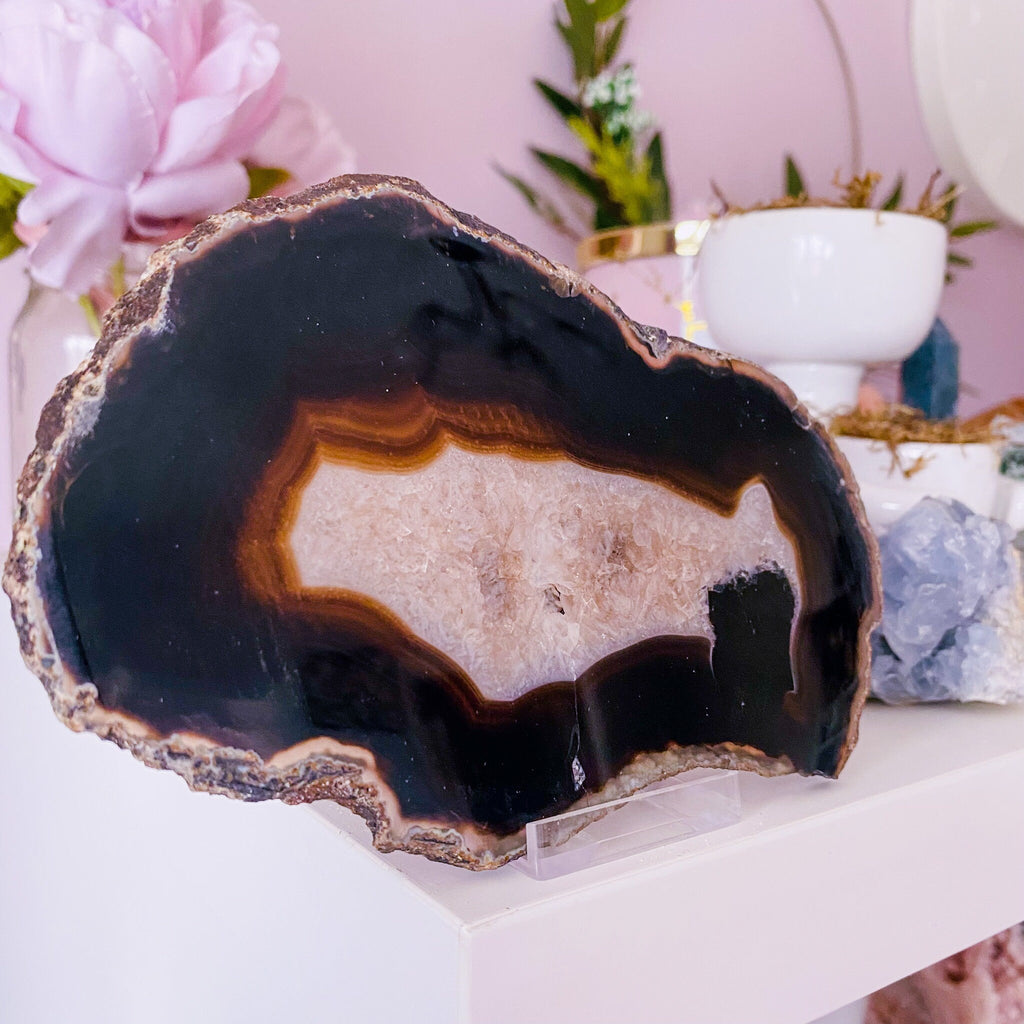 20) Dyed Black Agate Druzy Slice Crystal / Crystal Coaster / Transforms Negative Energy / Balances & Harmonises Energy In Your Home - Premium  from My Store - Just £19.50! Shop now at Lumi Gemstones