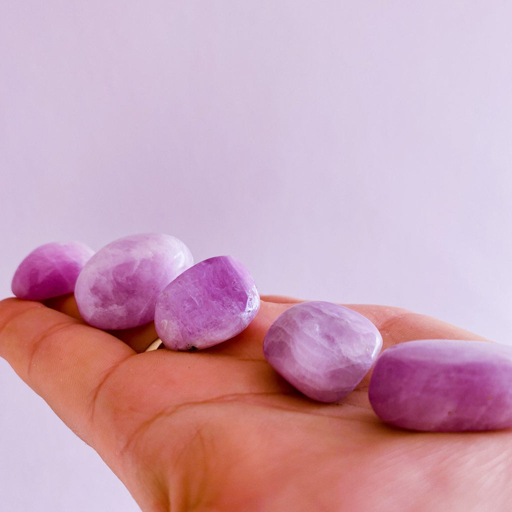 Kunzite Medium Crystal Tumblestones / Connects You To The Universe / Reduces Stress, Depression & Panic Attacks / Encourages Self Expression - Premium  from My Store - Just £12.95! Shop now at Lumi Gemstones