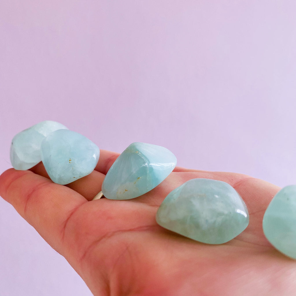 Prehnite Chunky Crystal Tumblestones / Enhances Inner Knowing & Gut Instinct / A Healer For The Healers / Helps You To Move On From People - Premium  from My Store - Just £9! Shop now at Lumi Gemstones