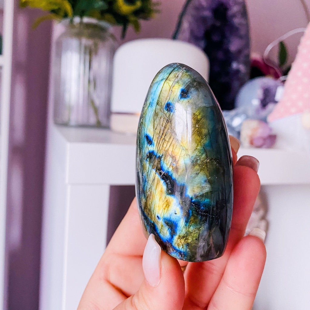 5) Labradorite Gold Flash Crystal Freeform / Helps Transformation & Change, Inspires You To Achieve Your Dreams / Uplifts Mood - Premium  from My Store - Just £25! Shop now at Lumi Gemstones